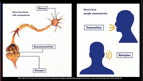 braincellscommunicate.jpg